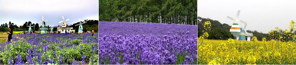 東莞夢幻百花洲連圖