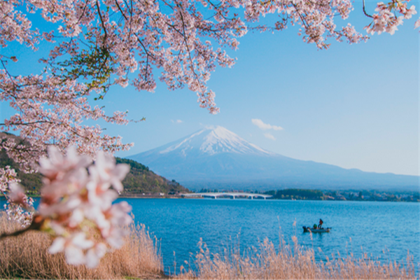 日本