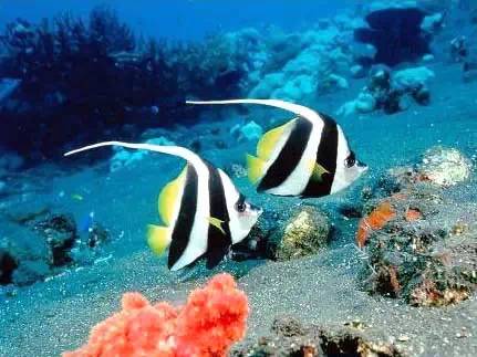 泰國海島旅游攻略，泰國海島旅游介紹