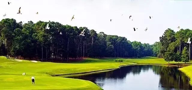 惠州全球候鳥度假別墅景色