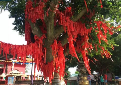 微信圖片_20180727095937