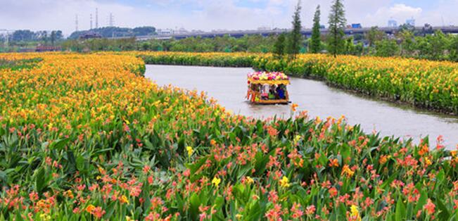 af4e5cf66679bd0d230039de651a2d27