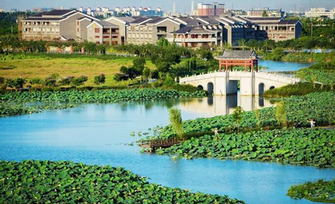 c15ce4cbd06a9ce950879e9ec6fa8fc2