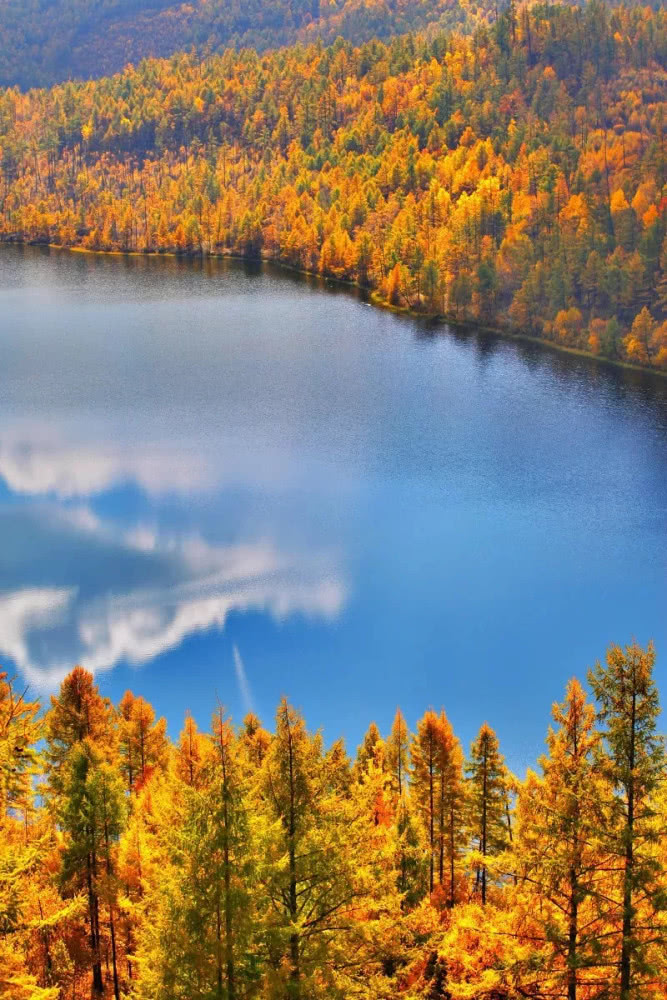 內(nèi)蒙古莫爾道嘎