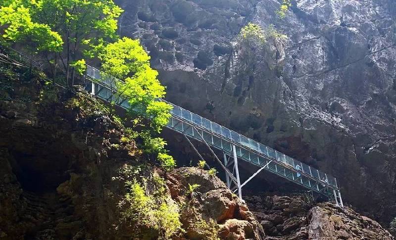 洞天仙境玻璃橋