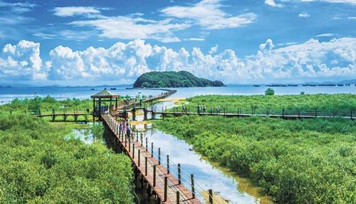 海陵島紅樹林國家濕地公園.jpg