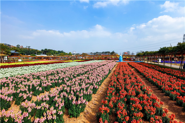 佛山盈香生態園4.jpg