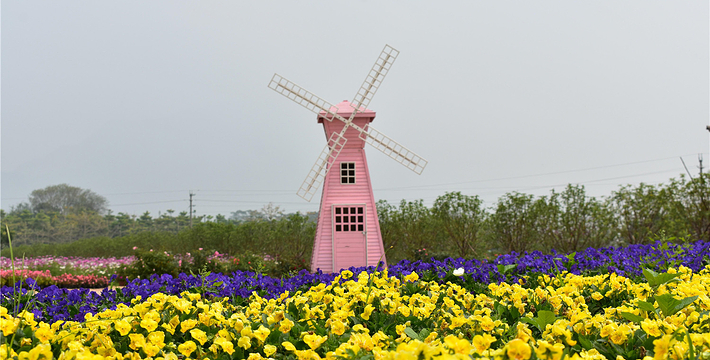 清遠農夫莊園.jpg