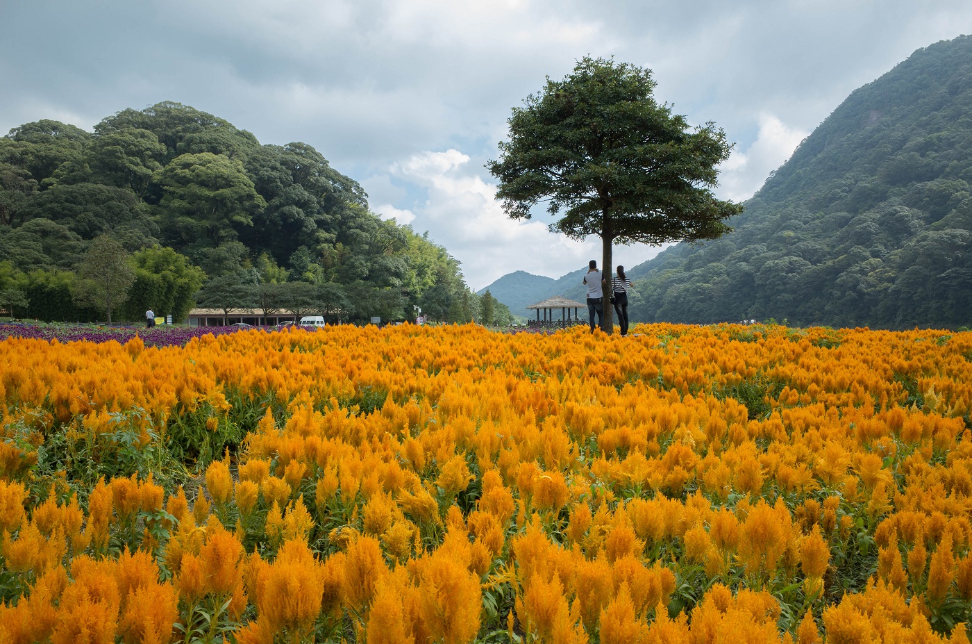 從化石門森林公園.jpg