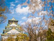 淺間神社 鬼太郎茶屋 東京兩天天自由活動 六天休閑之旅