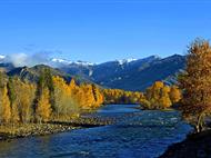 玩美喀納斯雙飛8天