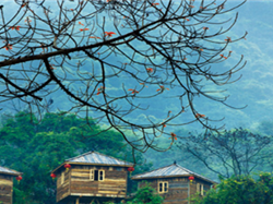 英德九州驛站、樹上溫泉、英西峰林觀光純玩二天游