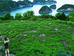 【豪華越南】覽盡下龍灣、車觀博物館