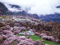 【從“林”開始】西藏雙飛8日游