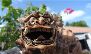 星夢郵輪 世界夢號-那霸