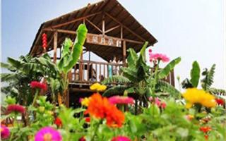 高明盈香生態(tài)園02_副本