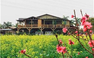 高明盈香生態(tài)園03_副本