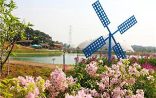 高明盈香生態(tài)園04_副本