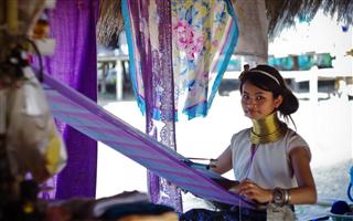 長(zhǎng)頸族 (2)