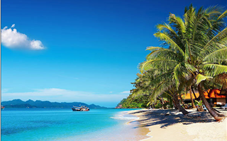 白百合出軌，泰國旅游