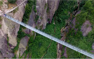 玻牛魚嘴璃橋333