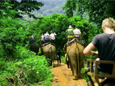 榴蓮非魚 芭提雅曼谷 7天5晚