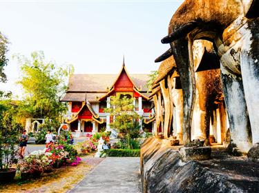 【清邁】秦北玫瑰：清邁，清萊五天四晚探尋之旅