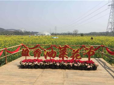 高明盈香生態(tài)園一天游