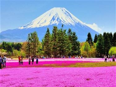 京都，奈良雙古都，大阪富士東京六天浪漫之旅