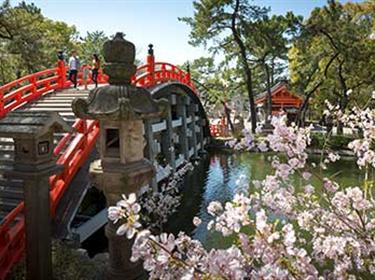 探秘雙古都 嵐山 奈良公園 茶道體驗 臺場高達 秋葉原六天之旅（阪東線）