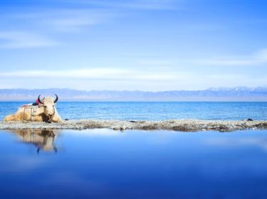 高端-奢享游絲路 青海雙飛雙動6日游