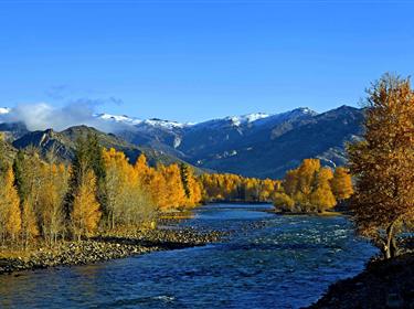 玩美喀納斯雙飛8天