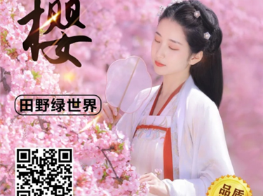 【假裝在日本】天適櫻花悠樂園純玩1天